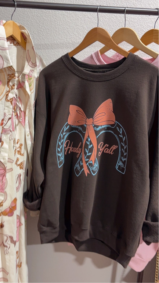 SALE Howdy Y'all Sweatshirt in Chocolate