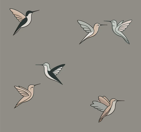 Hummingbirds - 2pc long sleeve set